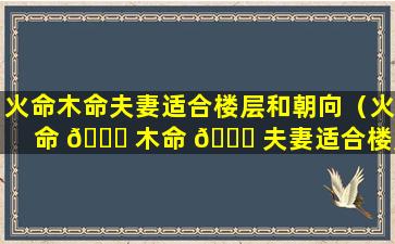 火命木命夫妻适合楼层和朝向（火命 💐 木命 💐 夫妻适合楼层和朝向的房子吗）